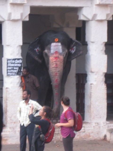 here is the famous holy elephant of Hampi, very much worshipped
