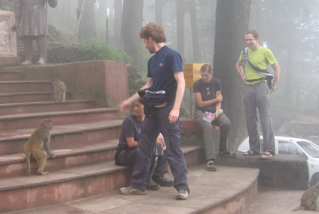 another monkey temple, with feisty monkeys, they came really, really, really close