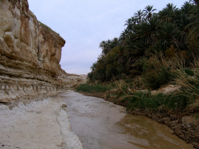 ochtendwandeling in Les Cascades..