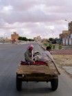 Racen tegen een Ezelskar in Sidi Barani.