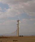 wind farms langs de rode zee