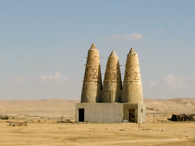 duivenmelker in de Sinai