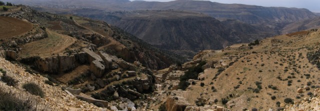 i115429