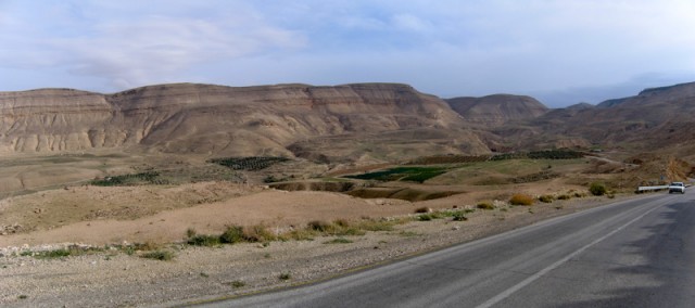 i115445