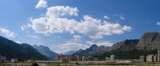 i116209