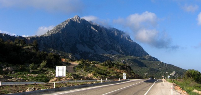 i116318