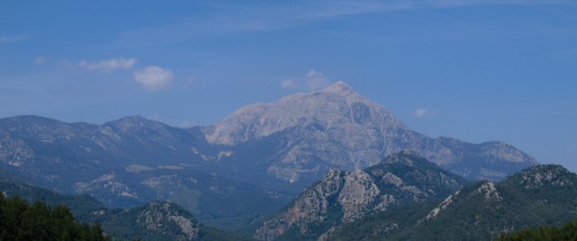 i116402