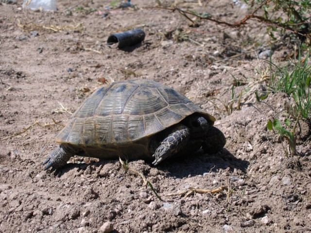 i117584