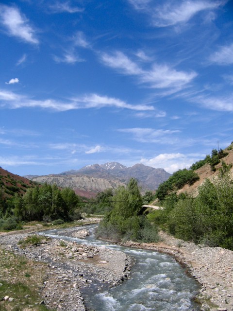 i117973