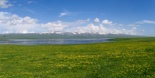 i118691