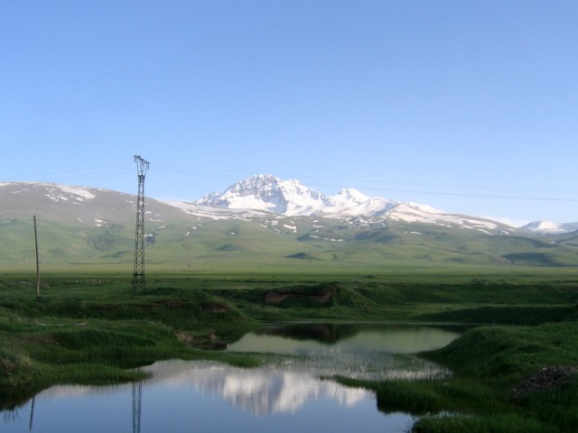 i118839